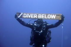 13 08 2011 "Diver Bellow" auteur Olivier Leprand